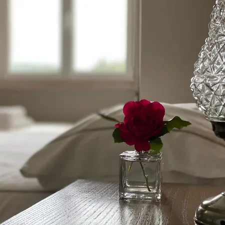 Guest house Quinta Janelas Do Vale