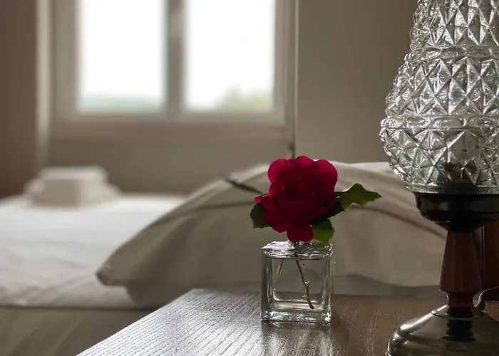 ゲストハウス Quinta Janelas Do Vale